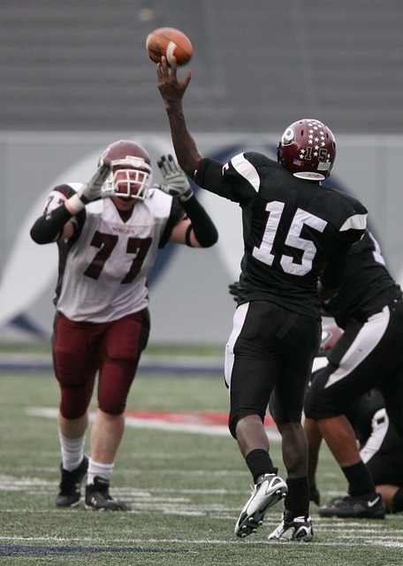 生态问题 生态问题