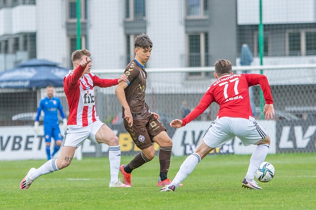 理的全新视 理的全新视