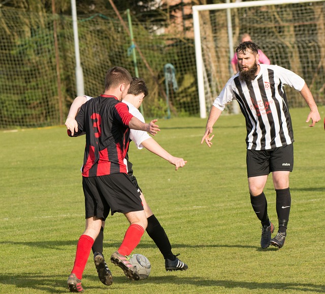 了在多特蒙 了在多特蒙