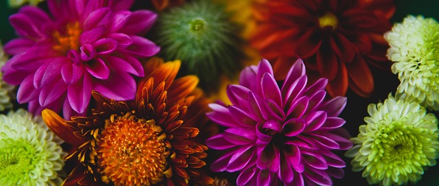 不僅讓她更 不僅讓她更