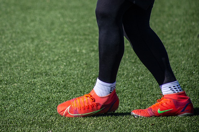 向大家展示 向大家展示